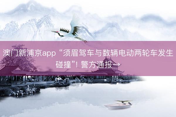 澳门新浦京app “须眉驾车与数辆电动两轮车发生碰撞”! 警方通报→